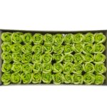 CAIXA C/50 ROSAS SABAO 5CM COR:VERDE
