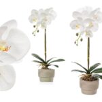 ORQUIDEA C/VASO CIMENTO COR:BRANCA