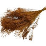 BROOM BLOOM MOLHO 50CM 100GR COR: