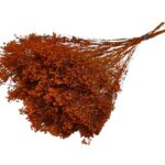 BROOM BLOOM MOLHO 50CM 100GR COR: