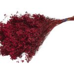 BROOM BLOOM MOLHO 50CM 100GR COR: