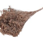 BROOM BLOOM MOLHO 50CM 100GR COR: