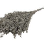 BROOM BLOOM MOLHO 50CM 100GR COR:CINZA