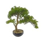 PLANTA ARTIFICIAL "PINHEIRO"