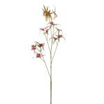 ARTIFICIAL- ORQUIDEA CALADENIA COR:FUCSIA