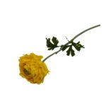 ARTIFICIAL- RANUNCULUS 51CM COR:AMARELO