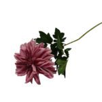 ARTIFICIAL- PE DALIA COR:MALVA