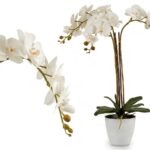 ORQUIDEA X3 C/VASO CIMENTO COR:BRANCA
