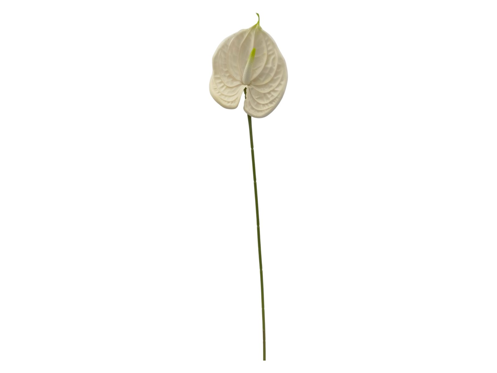 2035-01 ARTIFICIAL- PE ANTHURIUM COR:BRANCO - Image 1