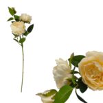 ARTIFICIAL- PE PEONIA X3 COR:CREME