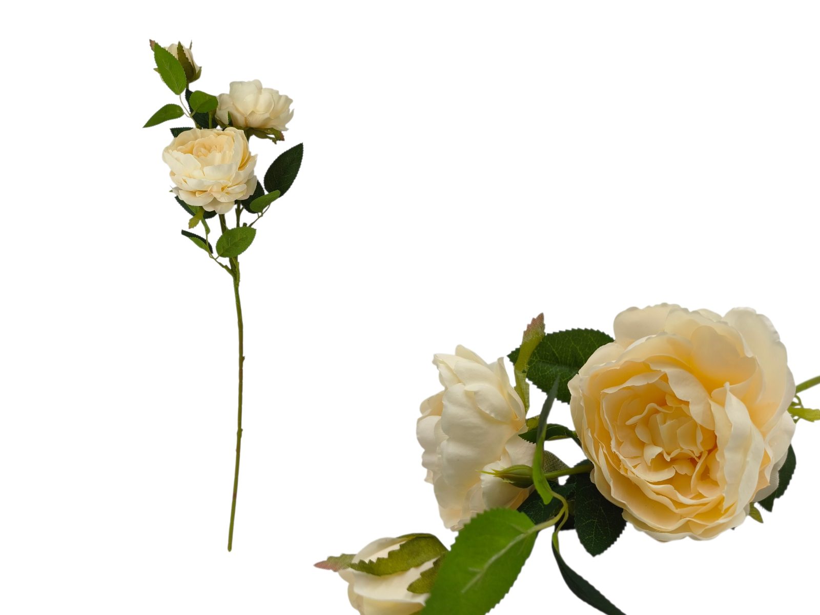 2134-01 ARTIFICIAL- PE PEONIA X3 COR:CREME - Image 1