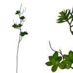 ARTIFICAL- HASTE SUCULENTAS COR:VERDE