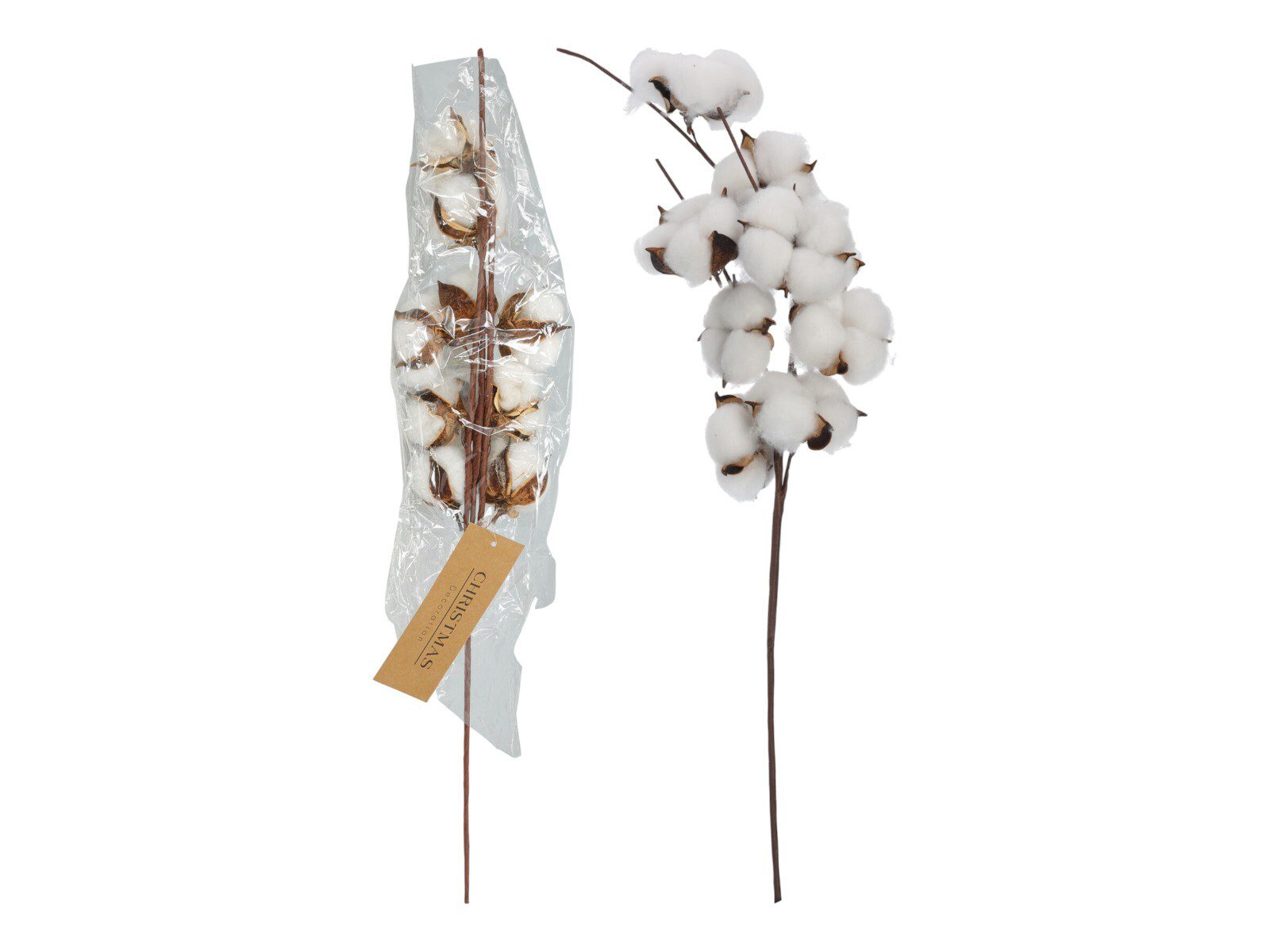 MT1000110_COMPOSITION_001_ PE FLOR DE ALGODAO 9 BOTOES - Image 1