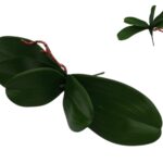 ARTIFICIAL- PE FOLHA DE ORQUIDEA C/RAIZ