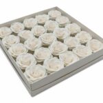 CAIXA C/25 ROSAS SABAO DIA. 6CM COR:BRANCO