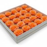 CAIXA C/25 ROSAS SABAO DIA. 6CM COR:SALMAO
