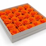 CAIXA C/25 ROSAS SABAO DIA. 6CM COR:LARANJA