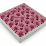 CAIXA C/25 ROSAS SABAO DIA. 6CM COR:ROSA