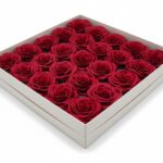 CAIXA C/25 ROSAS SABAO DIA. 6CM COR:BORDO
