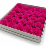 CAIXA C/25 ROSAS SABAO DIA. 6CM COR:FUCSIA