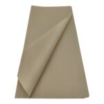 FOLHA CELOFANE 20UNID LISO COR:BEGE