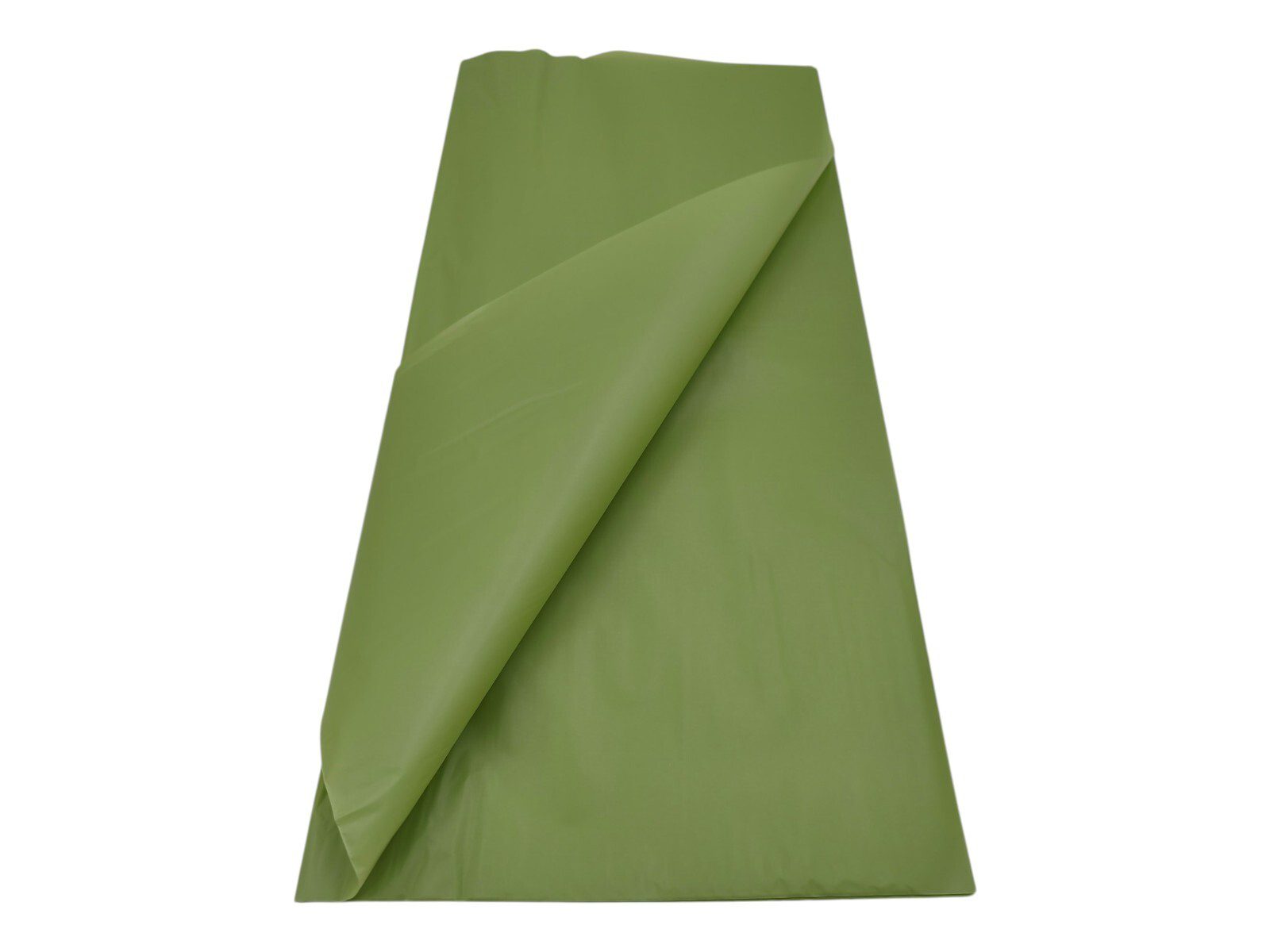 5600723281387 FOLHA CELOFANE 20UNID LISO COR:VERDE MENTA - Image 1