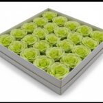 CAIXA C/25 ROSAS SABAO DIA. 6CM COR:VERDE