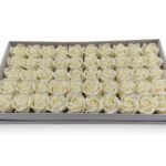CAIXA C/50 ROSAS SABAO DIA. 5CM COR:PEROLA