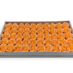 CAIXA C/50 ROSAS SABAO DIA. 5CM COR:SALMAO