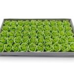 CAIXA C/50 ROSAS SABAO DIA. 5CM COR:VERDE